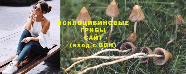 дживик Белоозёрский
