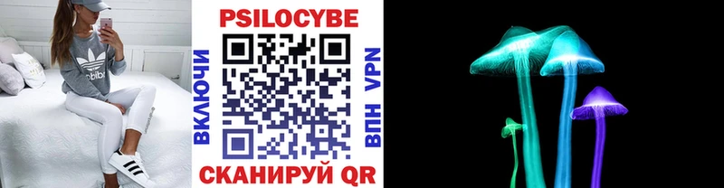 Галлюциногенные грибы Cubensis  закладки  MEGA как зайти  Мглин 